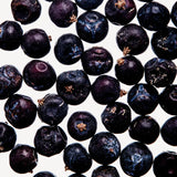 Bayas de Enebro