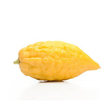 Cidra