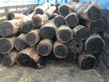 Madera de Ebano