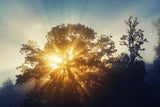 Notas Solares