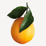 Naranja Brasileña